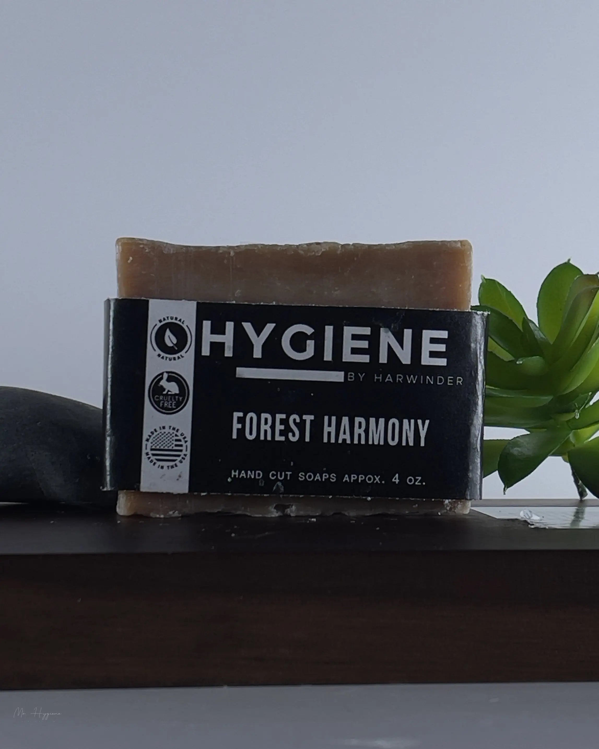 Forest Harmony Bar Soap Photo Shoot