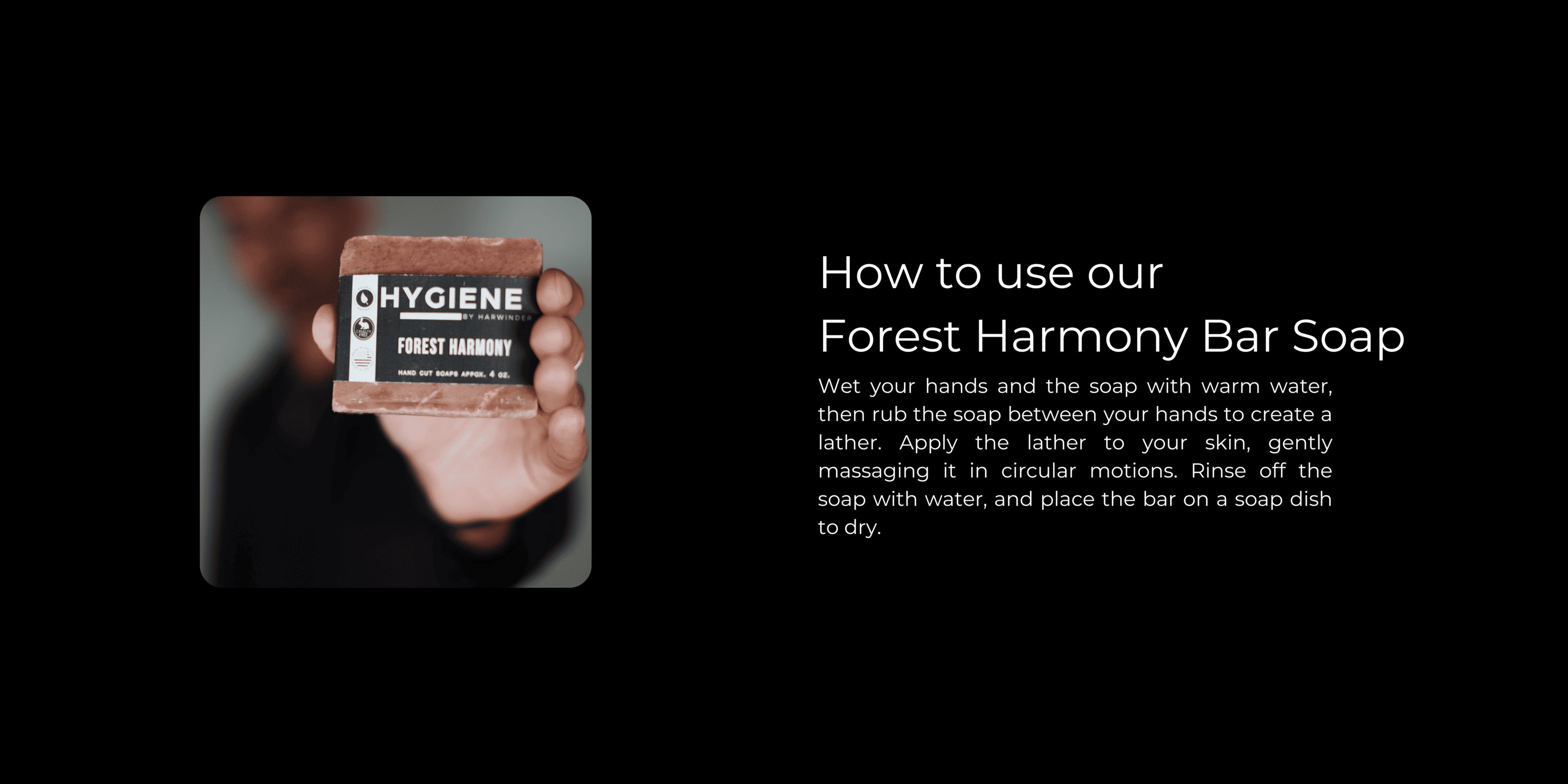 Forest Harmony How to Use