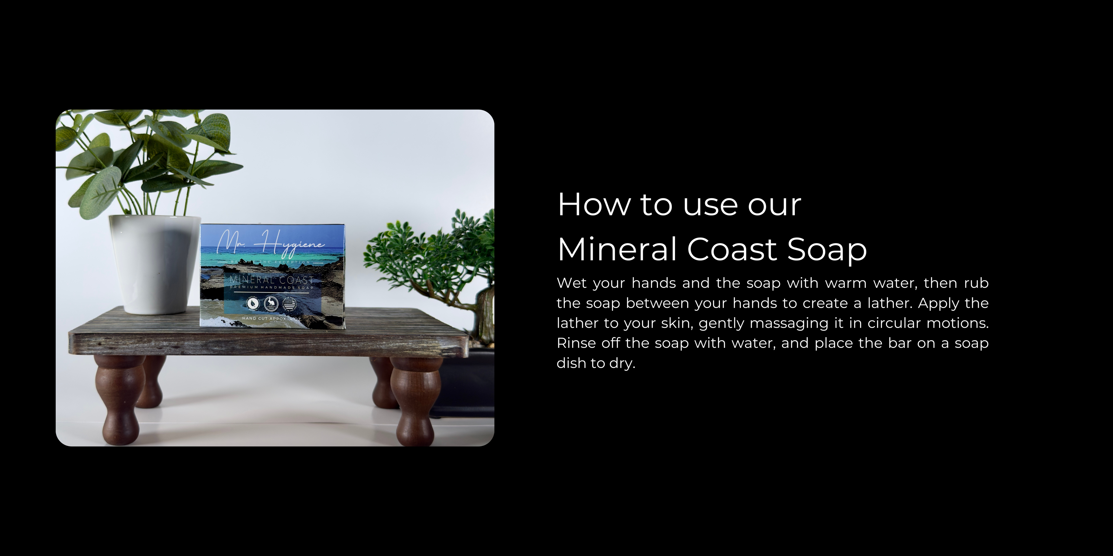 Mineral Coast Soap advertisement with laptop and plant on a wooden stand