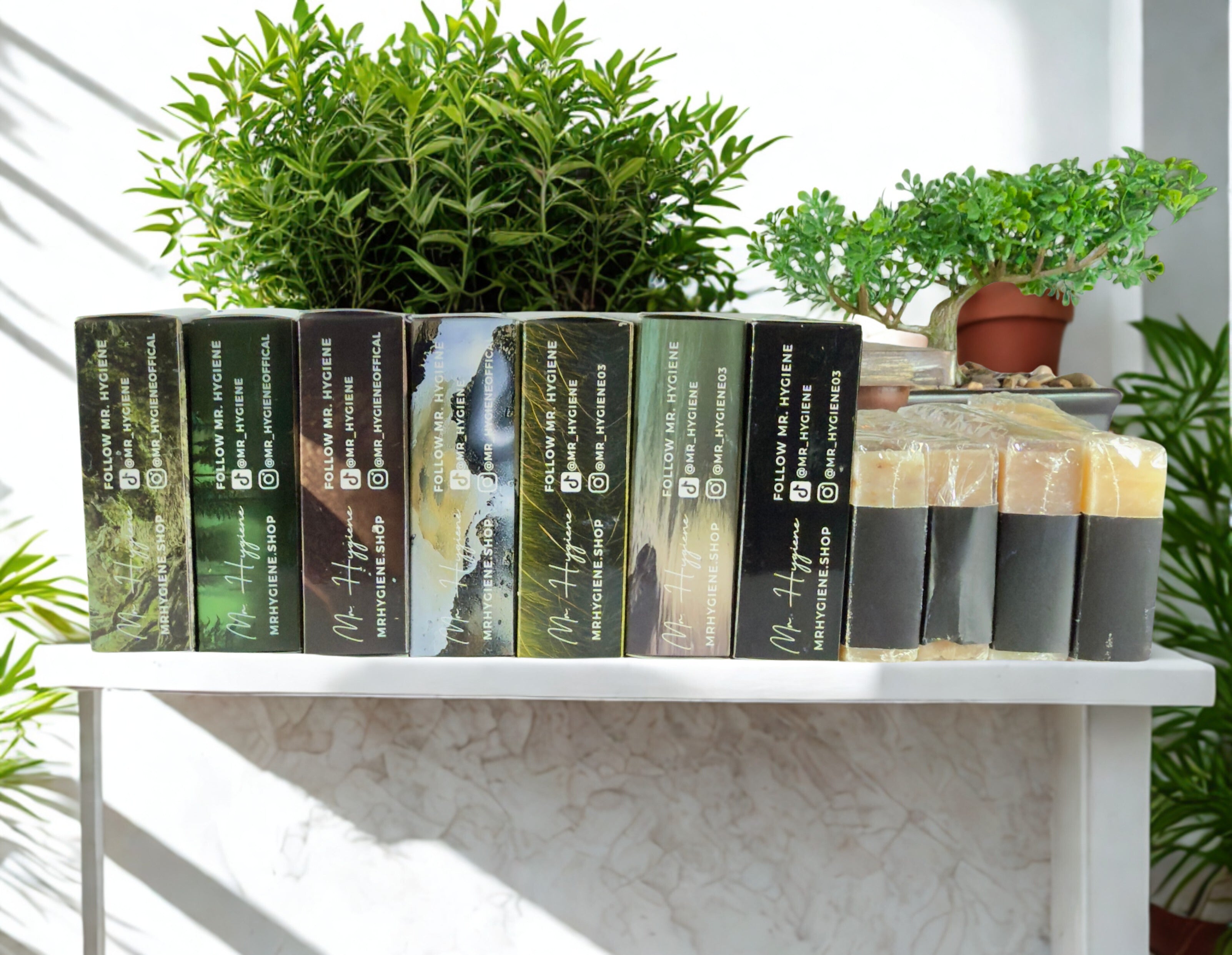 Row of books with visible spines on a white surface, surrounded by green plants.
